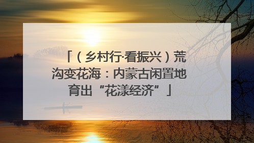 （乡村行·看振兴）荒沟变花海：内蒙古闲置地育出“花漾经济”