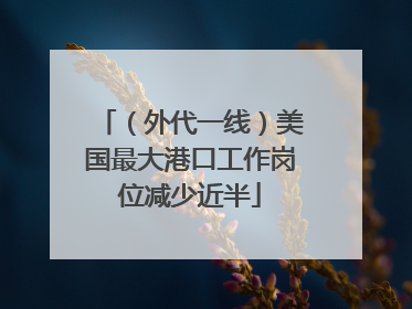 （外代一线）美国最大港口工作岗位减少近半