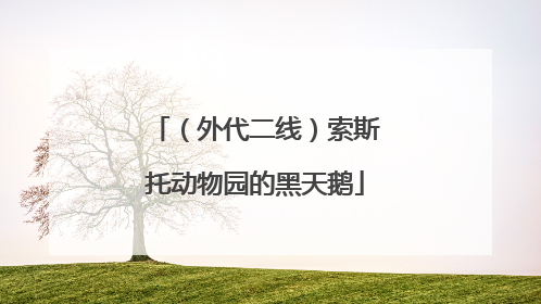 （外代二线）索斯托动物园的黑天鹅