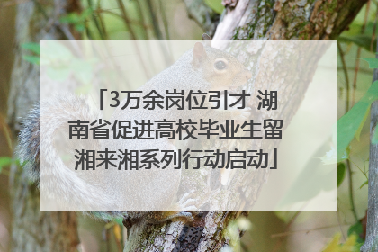 3万余岗位引才 湖南省促进高校毕业生留湘来湘系列行动启动