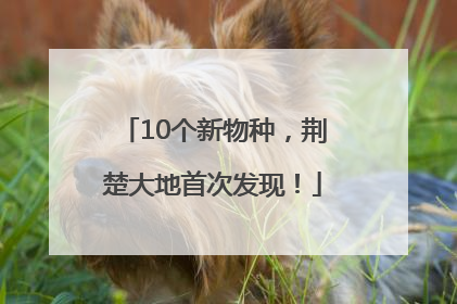 10个新物种，荆楚大地首次发现！