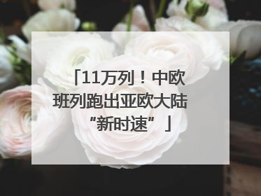 11万列！中欧班列跑出亚欧大陆“新时速”