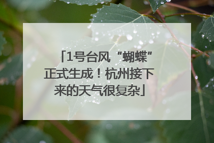 1号台风“蝴蝶”正式生成！杭州接下来的天气很复杂
