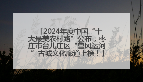 2024年度中国“十大最美农村路”公布，枣庄市台儿庄区“鲁风运河”古城文化廊道上榜！