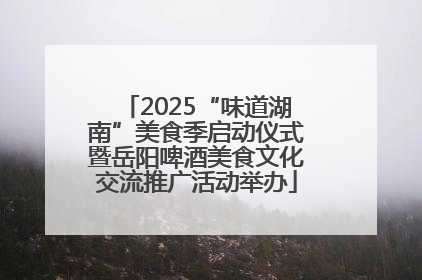 2025“味道湖南”美食季启动仪式暨岳阳啤酒美食文化交流推广活动举办
