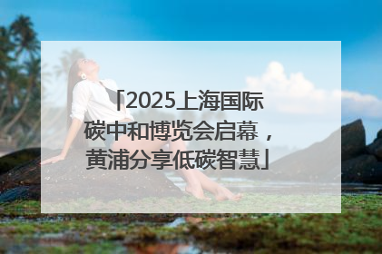 2025上海国际碳中和博览会启幕，黄浦分享低碳智慧