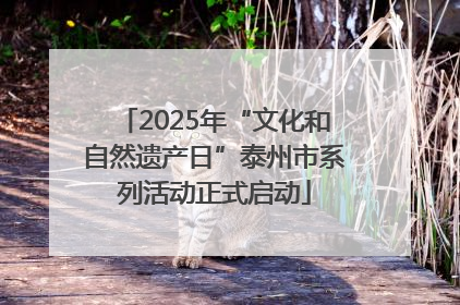 2025年“文化和自然遗产日”泰州市系列活动正式启动