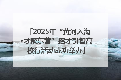 2025年“黄河入海•才聚东营”招才引智高校行活动成功举办