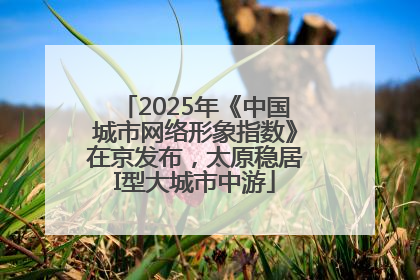 2025年《中国城市网络形象指数》在京发布，太原稳居I型大城市中游