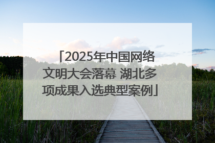 2025年中国网络文明大会落幕 湖北多项成果入选典型案例