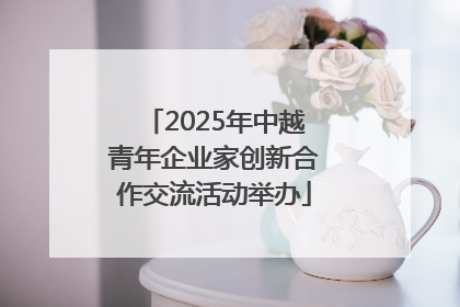 2025年中越青年企业家创新合作交流活动举办