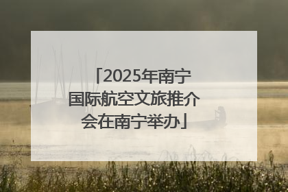 2025年南宁国际航空文旅推介会在南宁举办