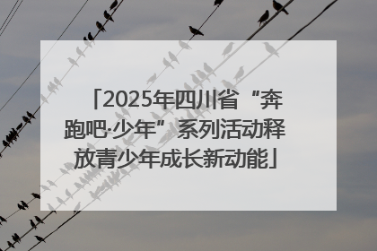 2025年四川省“奔跑吧·少年”系列活动释放青少年成长新动能