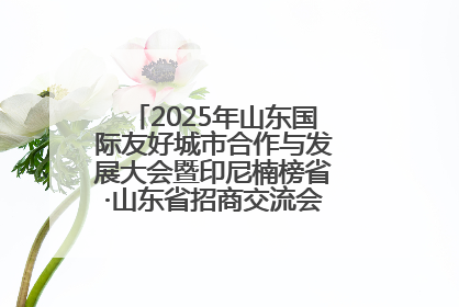 2025年山东国际友好城市合作与发展大会暨印尼楠榜省·山东省招商交流会在济南槐荫举行