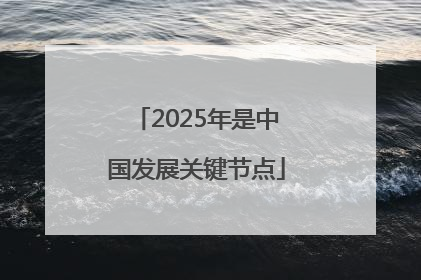 2025年是中国发展关键节点