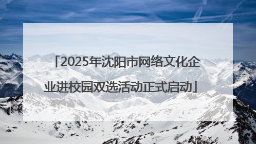 2025年沈阳市网络文化企业进校园双选活动正式启动