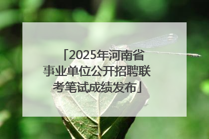2025年河南省事业单位公开招聘联考笔试成绩发布