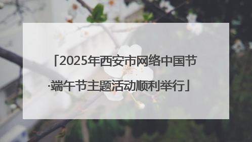 2025年西安市网络中国节·端午节主题活动顺利举行