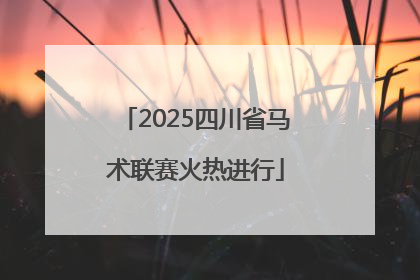 2025四川省马术联赛火热进行