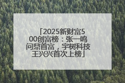 2025新财富500创富榜：张一鸣问鼎首富，宇树科技王兴兴首次上榜