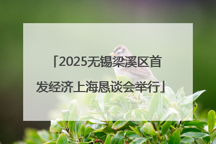 2025无锡梁溪区首发经济上海恳谈会举行