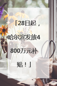 28日起，哈尔滨发放4800万元补贴！