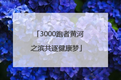 3000跑者黄河之滨共逐健康梦