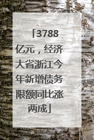 3788亿元，经济大省浙江今年新增债务限额同比涨两成