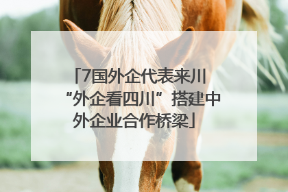 7国外企代表来川 “外企看四川”搭建中外企业合作桥梁