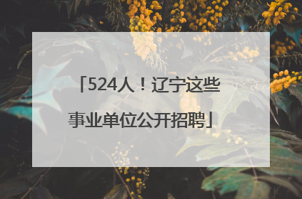 524人！辽宁这些事业单位公开招聘