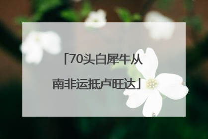 70头白犀牛从南非运抵卢旺达