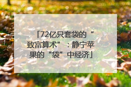 72亿只套袋的“致富算术”：静宁苹果的“袋”中经济
