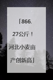 866.27公斤！河北小麦亩产创新高