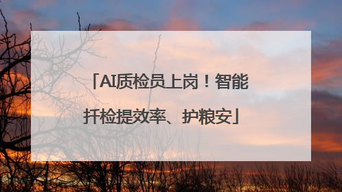 AI质检员上岗！智能扦检提效率、护粮安