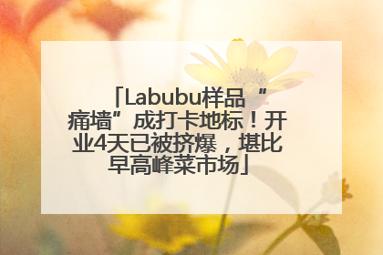 Labubu样品“痛墙”成打卡地标!开业4天已被挤爆,堪比早高峰菜市场