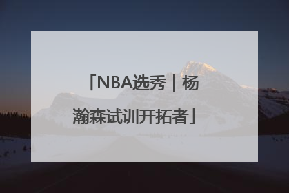 NBA选秀｜杨瀚森试训开拓者
