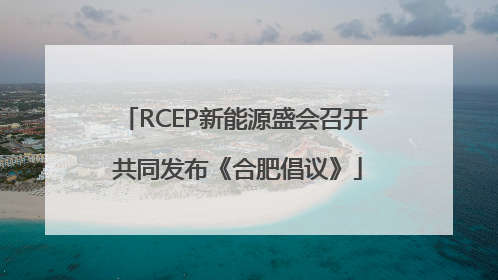RCEP新能源盛会召开 共同发布《合肥倡议》