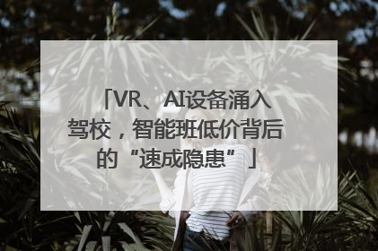 VR、AI设备涌入驾校，智能班低价背后的“速成隐患”